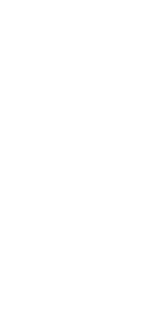 ISI STYLE CONSULTING